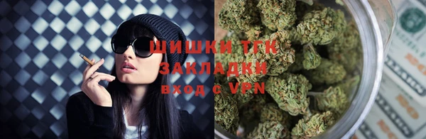 гашик Зерноград