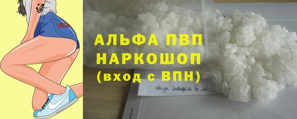 гашик Зерноград