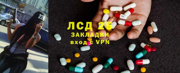 гашик Зерноград