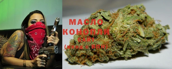 гашик Зерноград