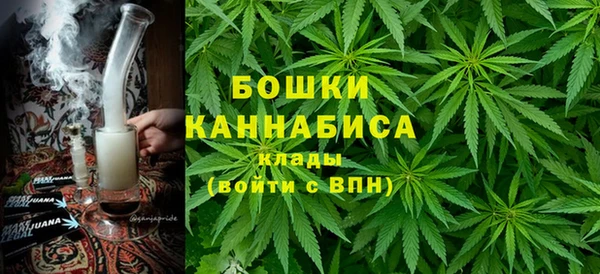 гашик Зерноград